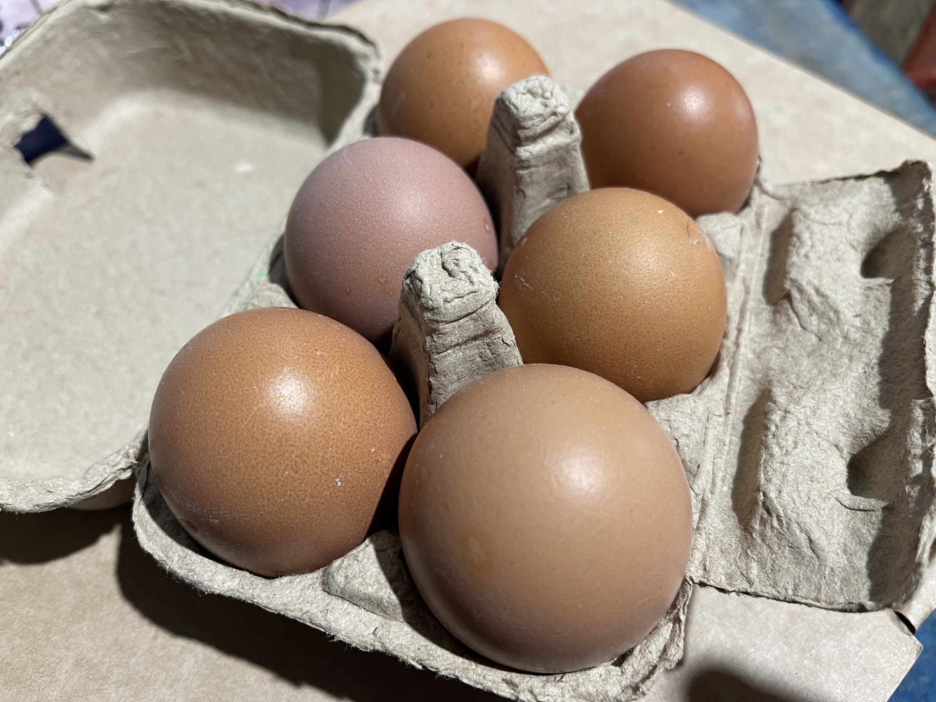 Free Range Eggs